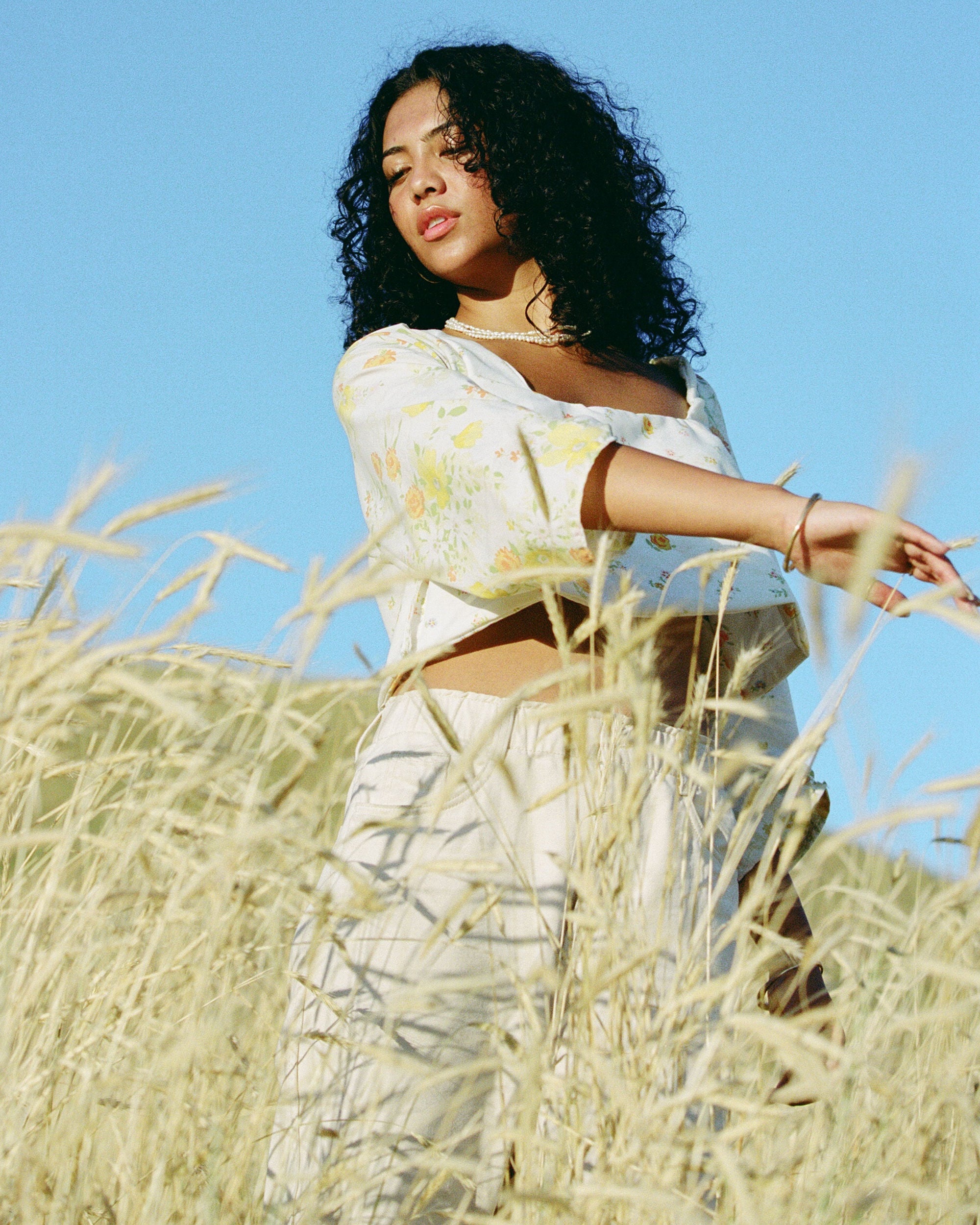 Lillies of the Field Yellow Top