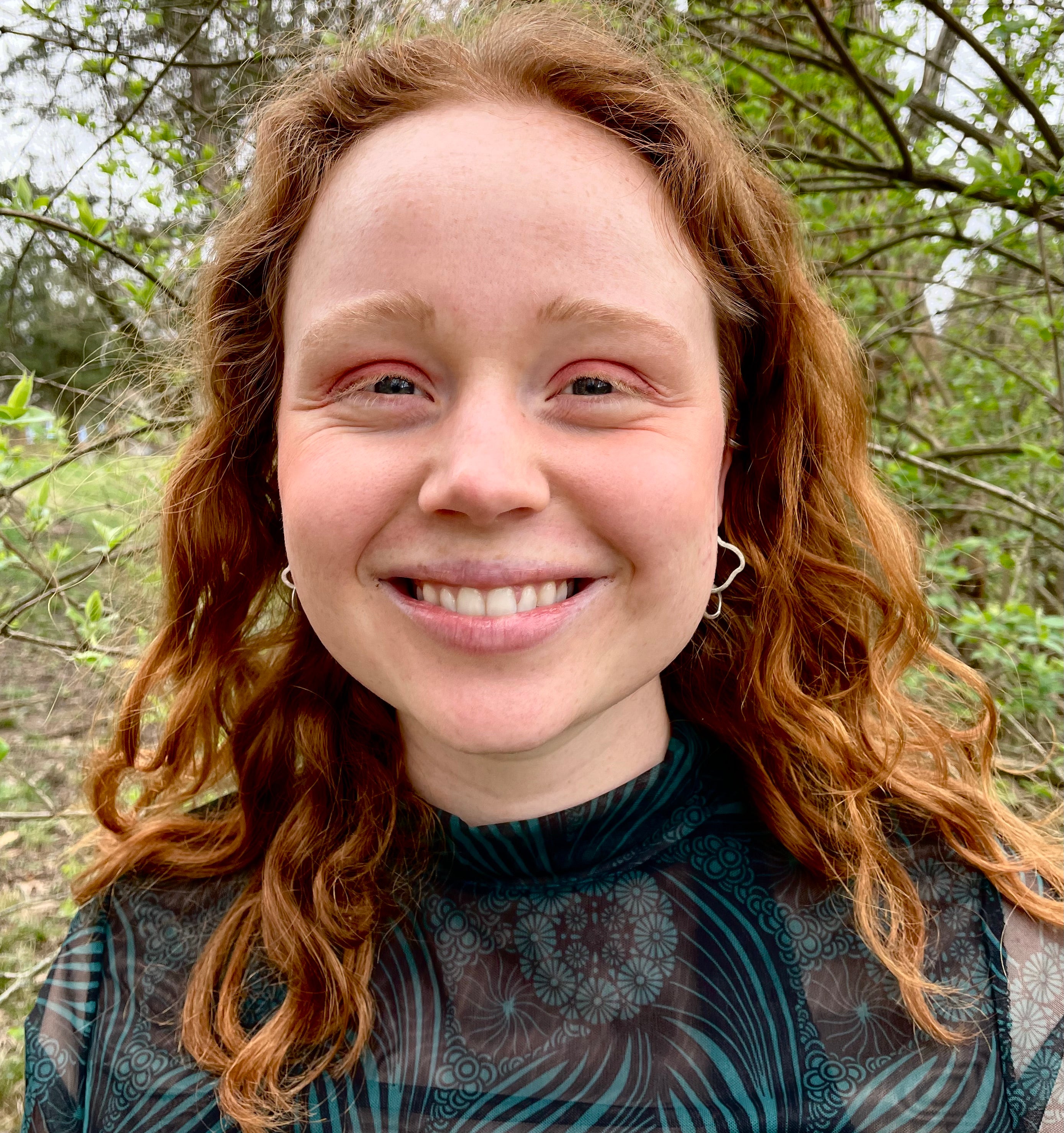 Silver Shapes Earrings